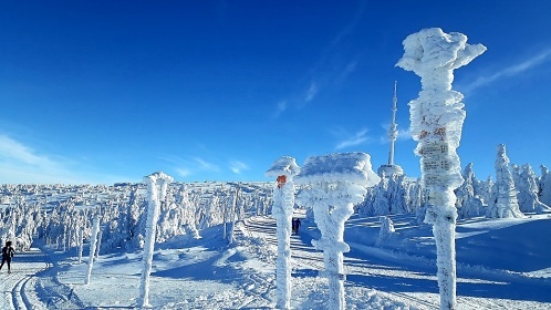 Chata u lesa - �ervenohorsk� Sedlo - Velk� Losiny