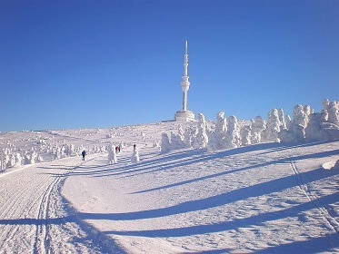 Chata u lesa - �ervenohorsk� Sedlo - Velk� Losiny