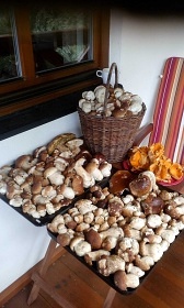 Chalupa Hrub� Jesen�k - Prad�d - Karlova Stud�nka