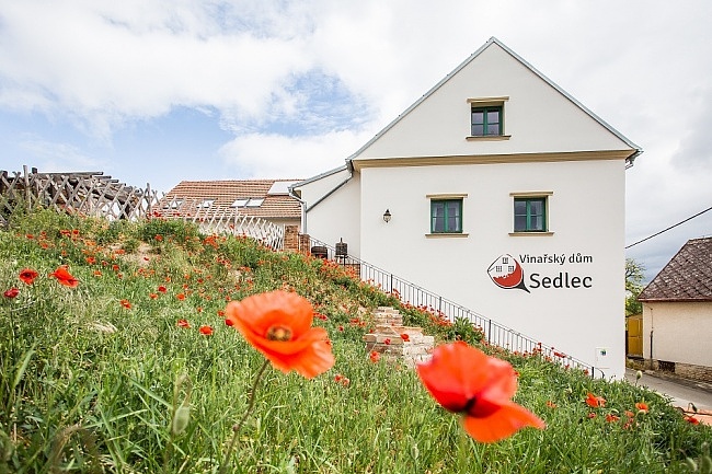 Vinařský dům Sedlec - penzion - vinařství
