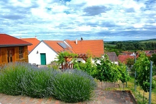 Nový objekt: Vinařský dům Sedlec - Mikulov - vinný sklep