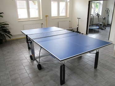 Penzion s wellness - �esk� r�j - Besedick� sk�ly