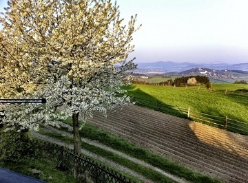 Chata se saunou - hrad Klenov� - CHKO �umava