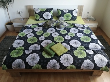 Apartmán u Pejchavky