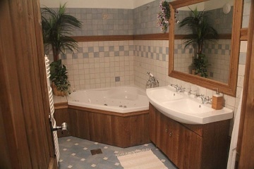 Jihoesk wellness chalupa - vyhvan bazn