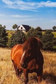 Stylov chalupa - CHKO Orlick hory - Zdobnice