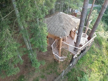 Glamping v korunách stromů -  Hamr na jezeře