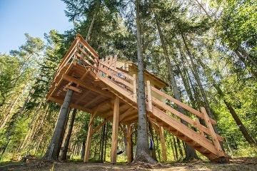Glamping v korunách stromů -  Hamr na jezeře