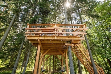 Glamping v korunách stromů -  Hamr na jezeře