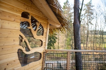 Glamping v korunách stromů -  Hamr na jezeře