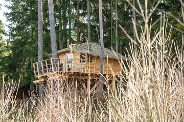 Glamping v korunách stromů -  Hamr na jezeře