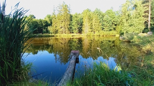 Jiho�esk� chalupa a uzav�en� dv�r - Slavonice