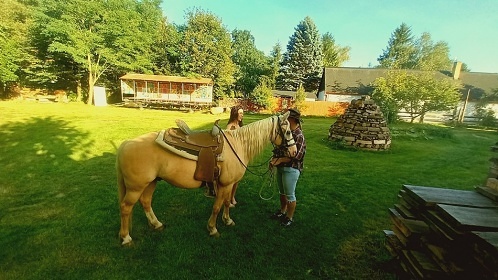 Jiho�esk� chalupa a uzav�en� dv�r - Slavonice