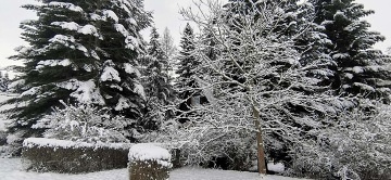 Chata sauna a vířivka - Třebařov - Moravská Třebová