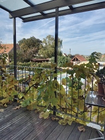 Vinařský dvůr Turna - Šakvice - Zaječí