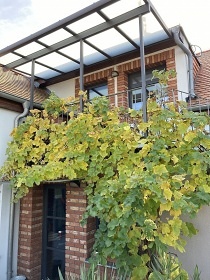 Chalupa Moravsk venkov - Nov Mlny - Plava