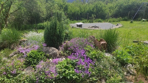 Chata bazén a sauna - Šumava - Klatovsko