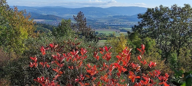 Chata baz�n a sauna - �umava - Klatovsko