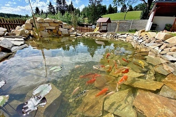 Wellness chalupa - Doln� Morava - Tich� Orlice