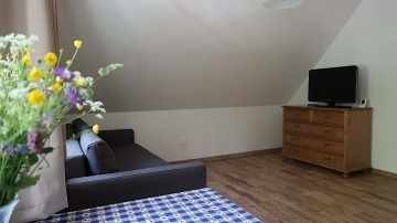 Krkonosk chalupa - bazn a sauna - Mechovice
