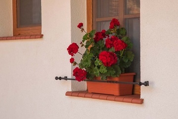 Chalupa s baz�nem - P�lavsk� vrchy - Nov� Ml�ny