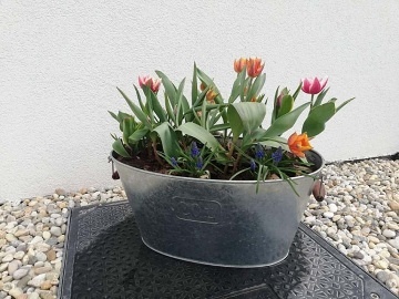 Chalupa s baz�nem - P�lavsk� vrchy - Nov� Ml�ny