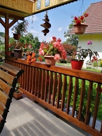 Chalupa Vysočina - rodinná dovolená se psem