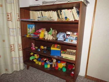 Chalupa s wellness - ���ka Rokytenka - Orlick� hory