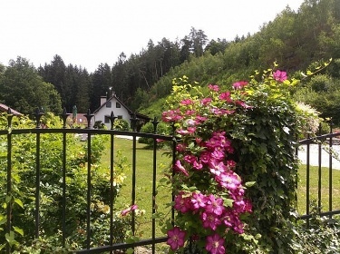 Chalupa s baznem - Horn Bza - Temon