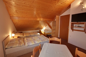 Wellness chalupa �esk� r�j - baz�n a hrad Pecka