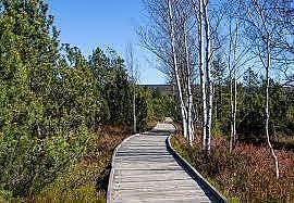 Apartm�ny �umava - chata Borov� Lada - Nov� Sv�t