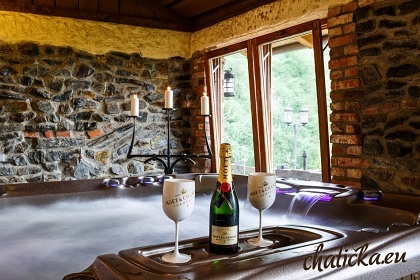 Wellness chata Beskydy - Nov� Ves - �eladn�