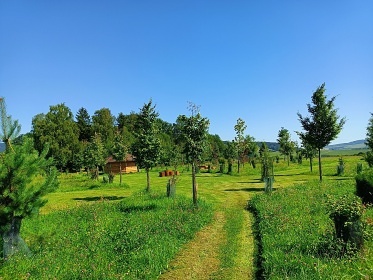 Wellness glamping cedrová sauna - Kralický Sněžník