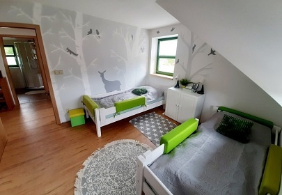 Apartmny Zelen Jelen - Stachy - umava