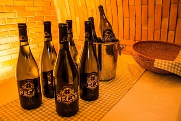 Chalupa a vinn� sklep Slov�cko - Kyjovsk� stezka