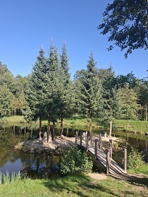 Chata s bazénem - Jizerské hory - Hejnice