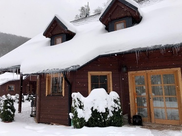 Wellness chata s baz�nem - Dvorsk� les - Krkono�e