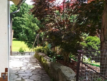 Chata u lesa �esk� r�j - hrad Trosky - Vald�tejn