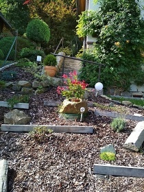 Chata u lesa �esk� r�j - hrad Trosky - Vald�tejn