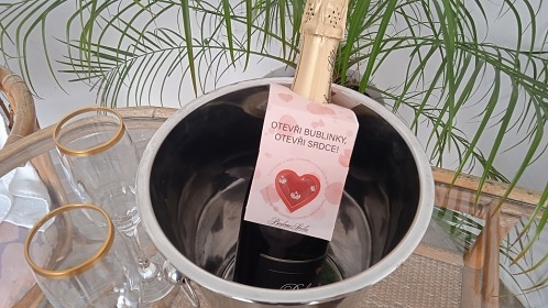 Chalupa s v��ivkou - T�ebo�sko - Jind�ich�v Hradec