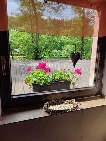 Chata u �eky S�zava - hrad �esk� �ternberk