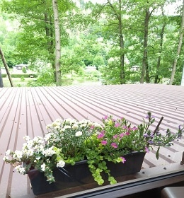 Chata u �eky S�zava - hrad �esk� �ternberk