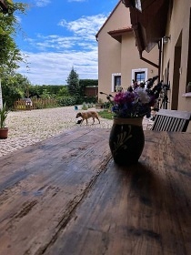 Chalupa sauna a baz�n - �esk� st�edoho��