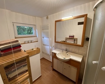 Podstvkov chalupa star asy - esk vcarsko