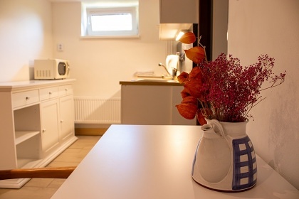 Chalupa a baz�n - �esk� �v�carsko - hrad �aun�tejn