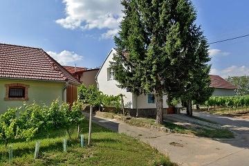 Chata a vinn sklep - Velk Blovice - Plava