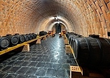 Chata a vinný sklep - sauna a koupací sud - Mutěnice