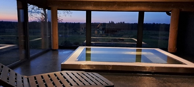Srub s bazénem a wellness - Lužnice - Tábor