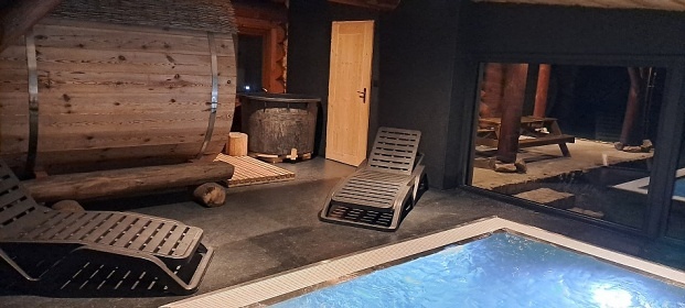 Srub s bazénem a wellness - Lužnice - Tábor