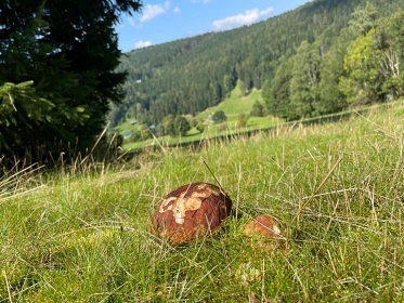 Roubenka Krkonoše se saunou - Rokytnice n. Jizerou